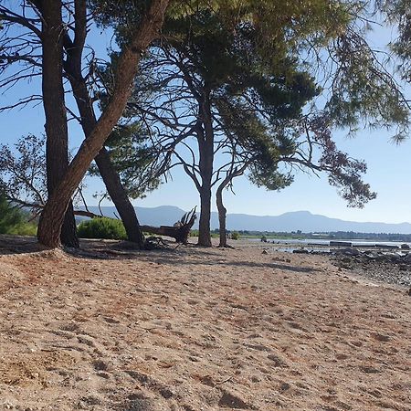 Penthouse Apartman Marcelina In Trogir Kültér fotó